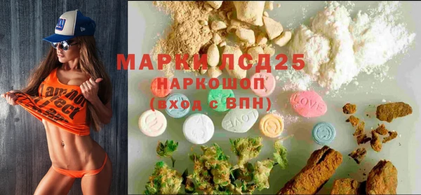 гашик Зерноград