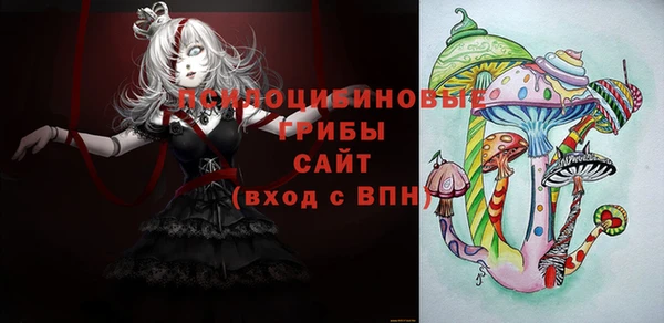 гашик Зерноград