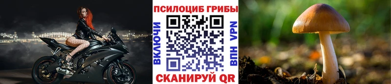 Купить закладки  Мурманск  Псилоцибиновые грибы Psilocybe 